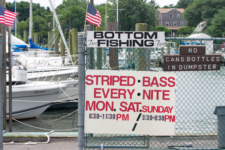 bottom