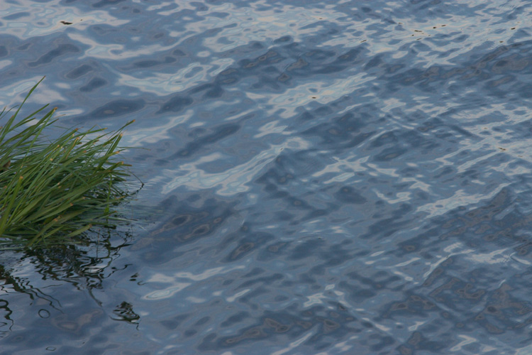 liquid