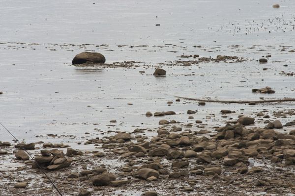 A rocky shore