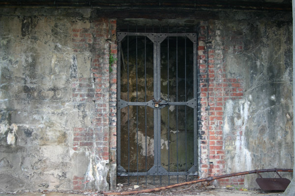 Another cell-like structure
