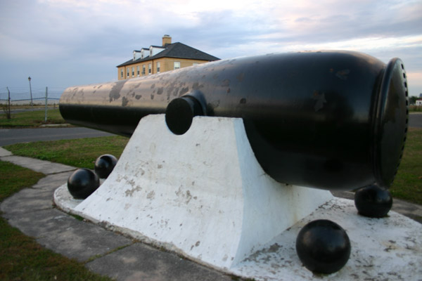Cannon