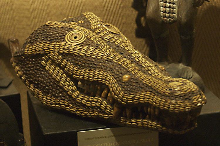 Croc head from Papua New Guinea