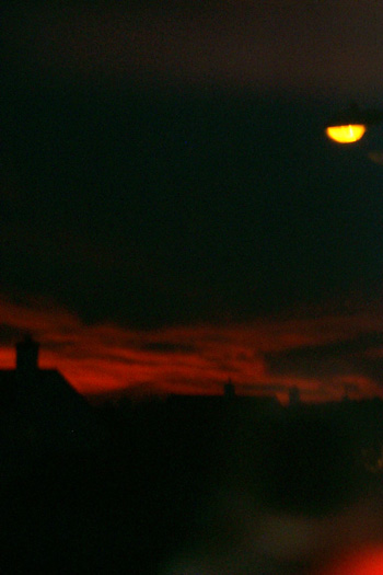 [ Embers ]