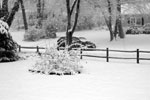 [ Snowstorm! ]