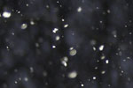 [ Snow falling in our back yard at night ]