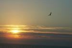 [ Sunrise ]