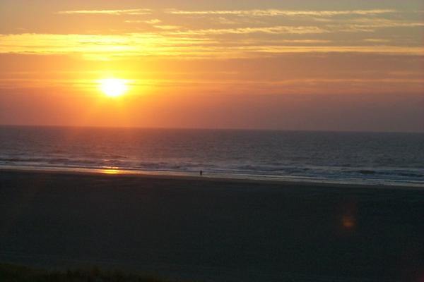 New day rising