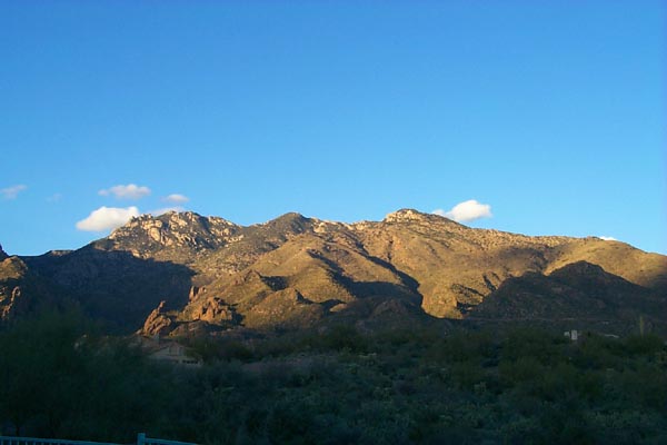The Catalina Mountains, seen from the backyard, late afternoon