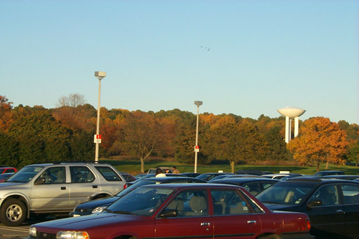 [ Fall colors from the Holmdel parking lot ]
