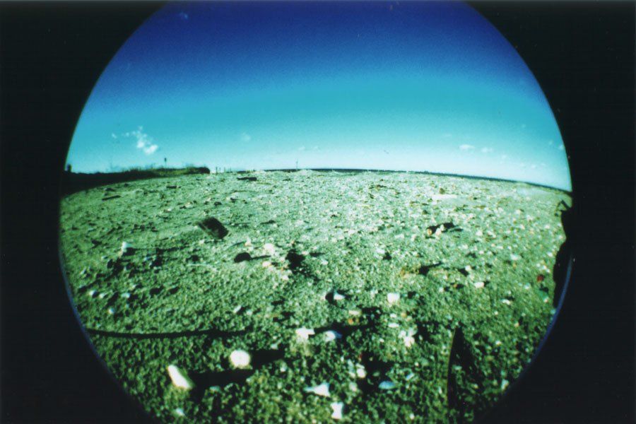 Beach at the moon