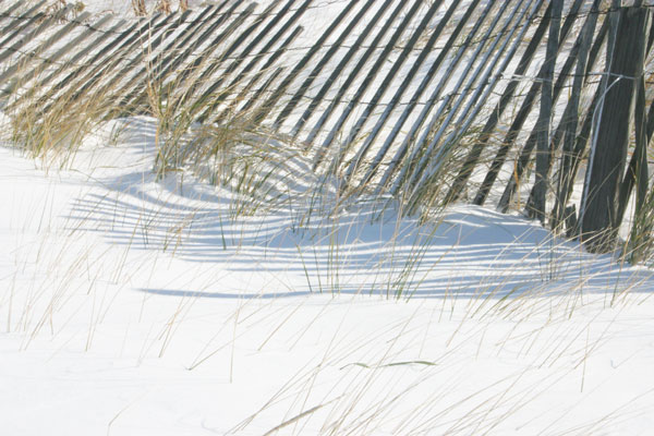 Ocean Grove, NJ
